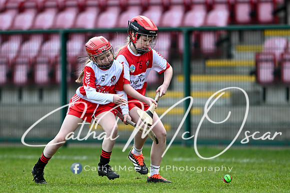 Derry v Offaly (58 of 142)