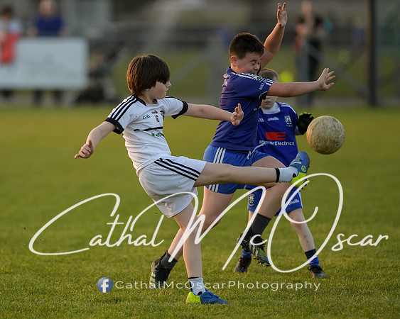 Castledawson v Bellaghy U11 (29 of 60)