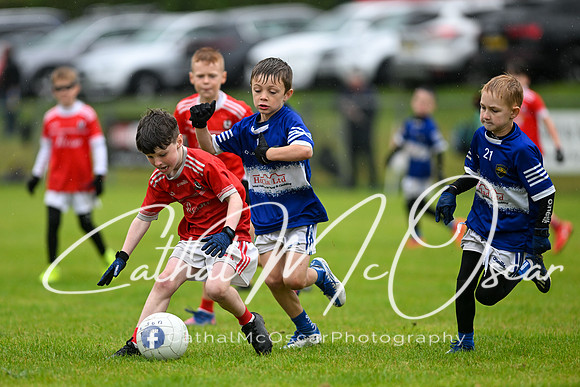 Greenlough U9 Football Tournament (307 of 356)