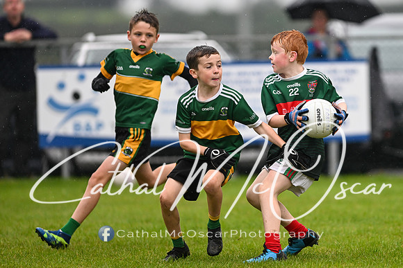 Greenlough U9 Football Tournament (315 of 356)