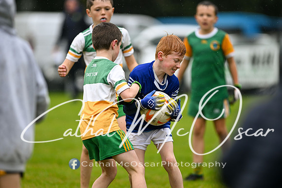 Greenlough U9 Football Tournament (99 of 356)