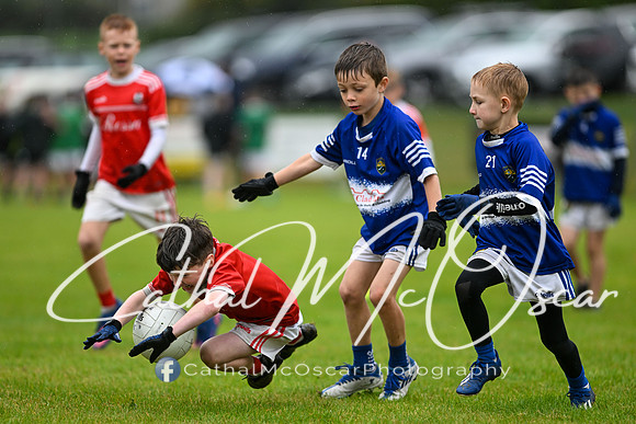 Greenlough U9 Football Tournament (308 of 356)