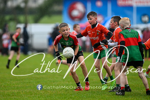 Greenlough U9 Football Tournament (346 of 356)