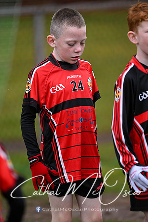 Greenlough U9 Football Tournament (355 of 356)