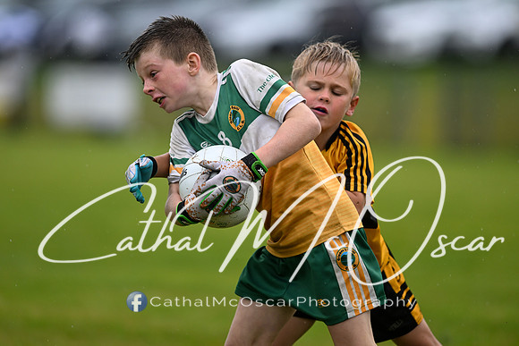 Greenlough U9 Football Tournament (272 of 356)