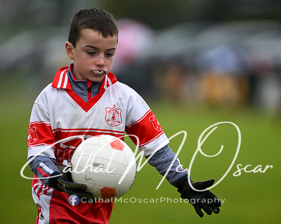 Greenlough U9 Football Tournament (286 of 356)