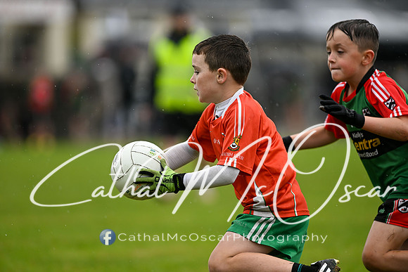 Greenlough U9 Football Tournament (351 of 356)