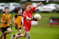 Greenlough U9 Football Tournament (41 of 356)