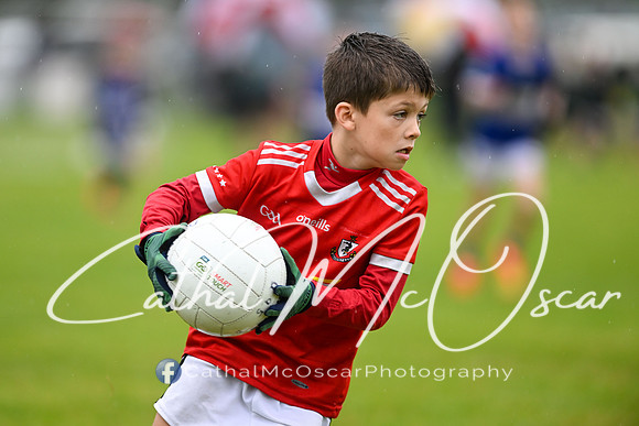 Greenlough U9 Football Tournament (304 of 356)