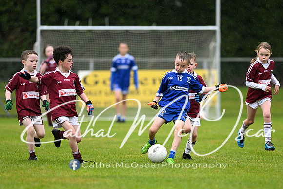 Greenlough U9 Football Tournament (82 of 356)