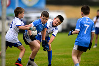 Greenlough U9 Football Tournament (24 of 356)