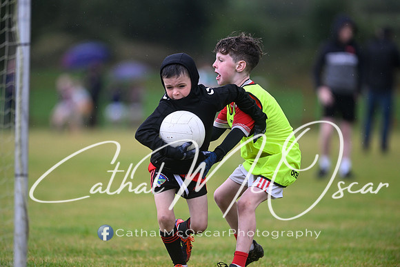 Greenlough U9 Football Tournament (225 of 356)