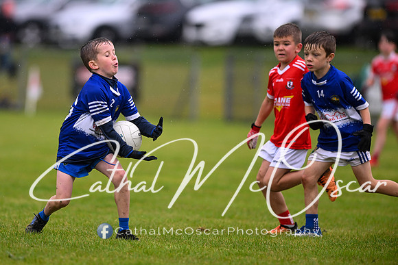 Greenlough U9 Football Tournament (316 of 356)