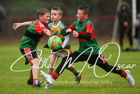Greenlough U9 Football Tournament (157 of 356)