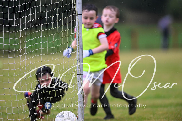 Greenlough U9 Football Tournament (233 of 356)