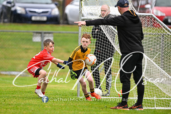 Greenlough U9 Football Tournament (50 of 356)