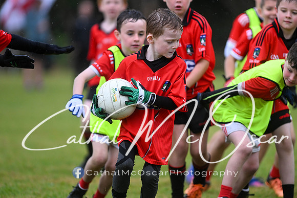 Greenlough U9 Football Tournament (234 of 356)