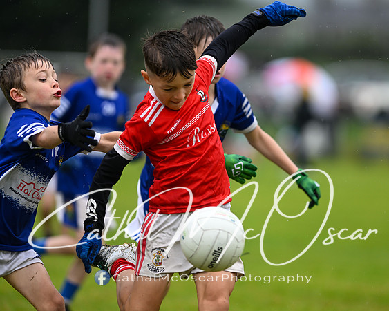 Greenlough U9 Football Tournament (300 of 356)