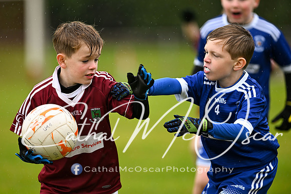 Greenlough U9 Football Tournament (88 of 356)