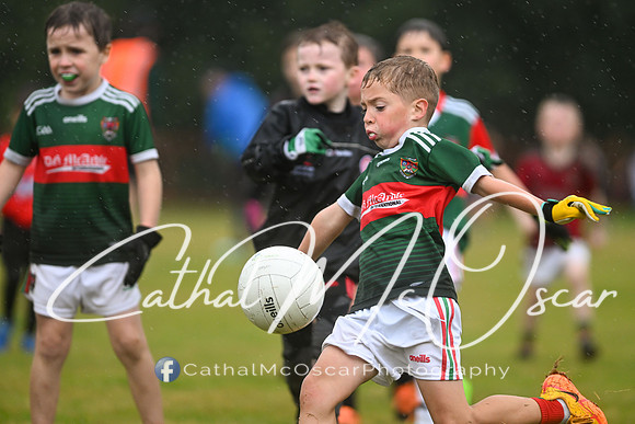 Greenlough U9 Football Tournament (162 of 356)