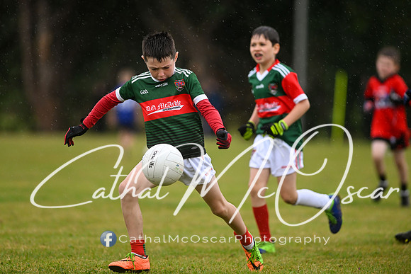 Greenlough U9 Football Tournament (148 of 356)