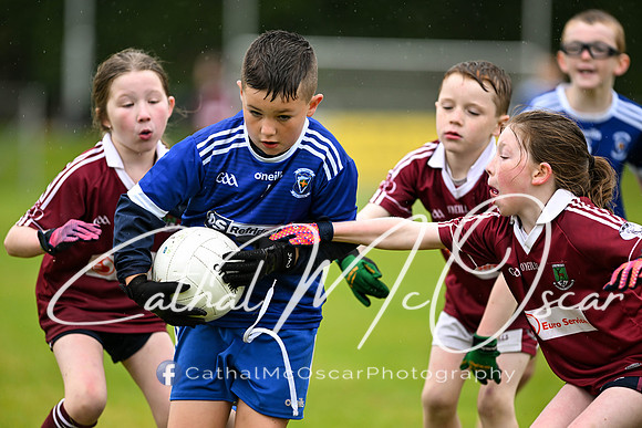Greenlough U9 Football Tournament (80 of 356)