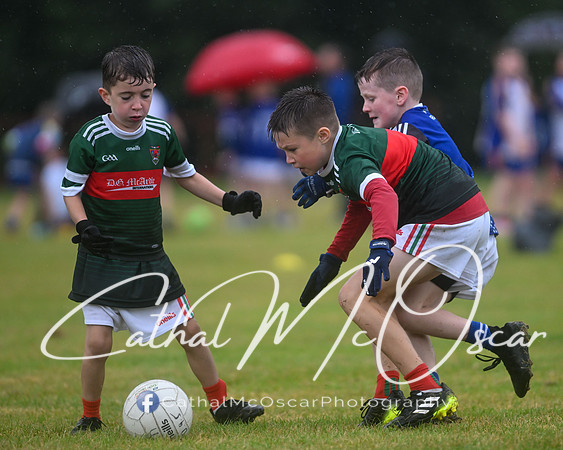 Greenlough U9 Football Tournament (217 of 356)