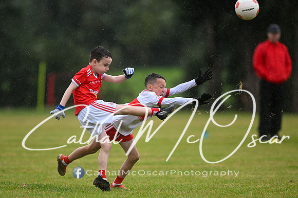 Greenlough U9 Football Tournament (171 of 356)