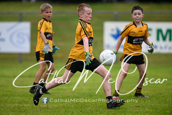 Greenlough U9 Football Tournament (263 of 356)