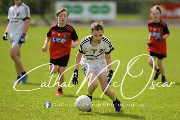 Castledawson v lissan (13 of 86)