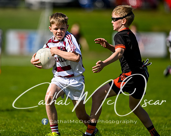 Swatragh U11 Tournament (125 of 238)