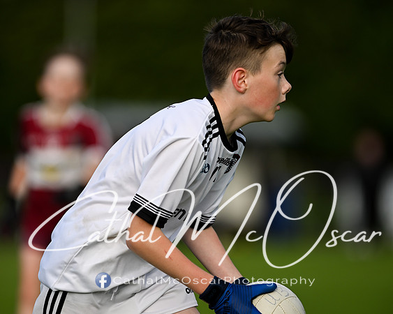 Castledawson v Ballinascreen U13 (95 of 112)
