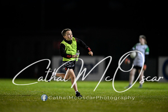 Craigbane v Lissan (167 of 186)