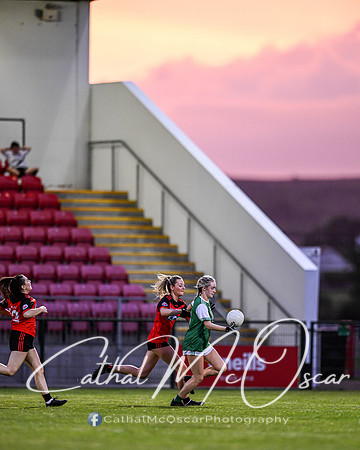 Craigbane v Lissan (115 of 186)