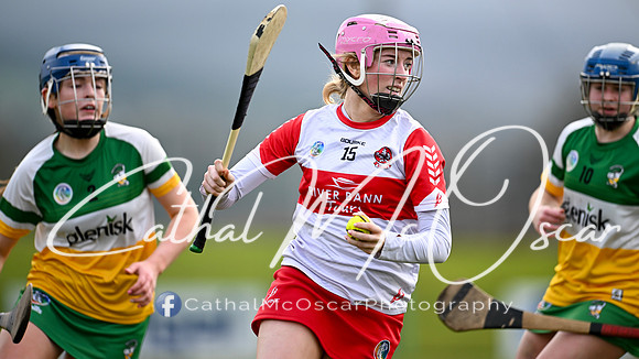 Derry v Offaly (35 of 142)