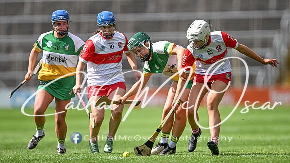 Derry v Offaly (115 of 148)