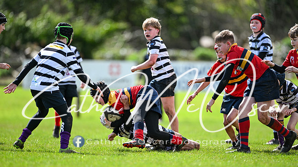 Rainey Underage Blitz (64 of 222)