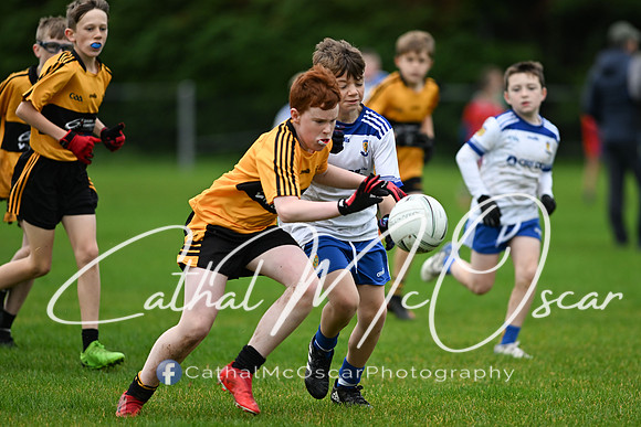 Martin McGeehan Memorial U11 Tournament (19 of 379)
