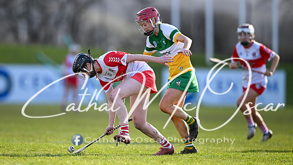 Derry v Offaly (97 of 142)