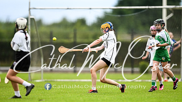 Castledawson v Loup (56 of 101)