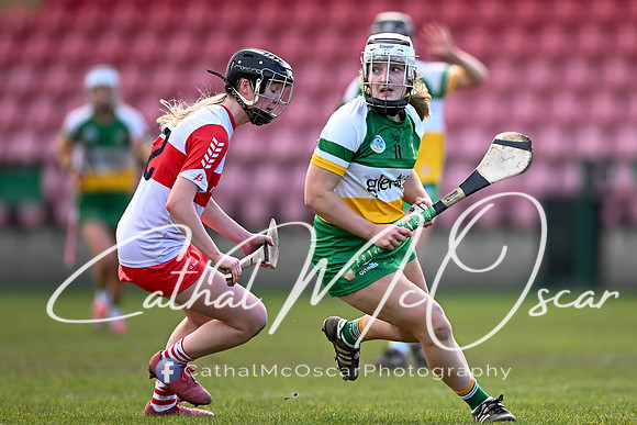 Derry v Offaly (82 of 142)