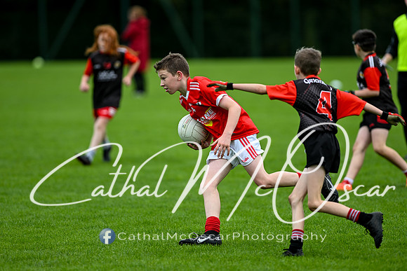 Castledawson U11.5 Tournament  (76 of 349)