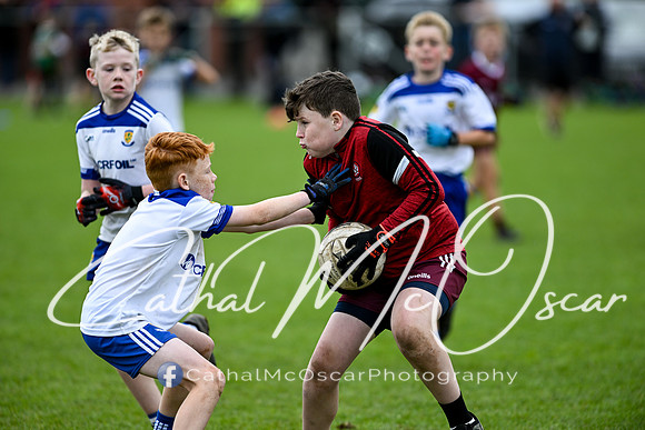 Castledawson U11.5 Tournament  (230 of 349)