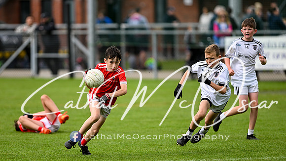 Castledawson U11.5 Tournament  (196 of 349)