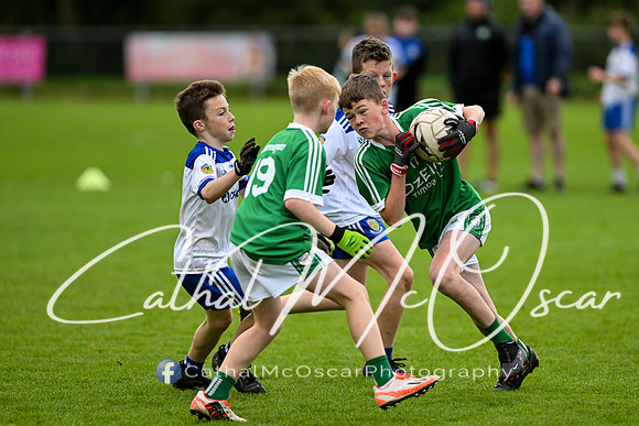Castledawson U11.5 Tournament  (347 of 349)