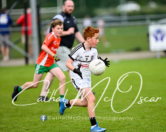 Castledawson U11.5 Tournament  (288 of 349)