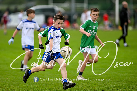 Castledawson U11.5 Tournament  (325 of 349)