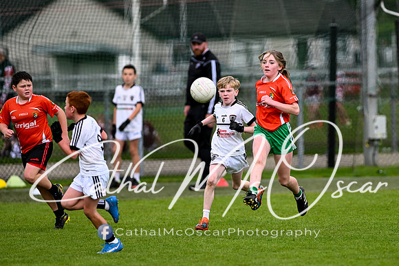 Castledawson U11.5 Tournament  (300 of 349)