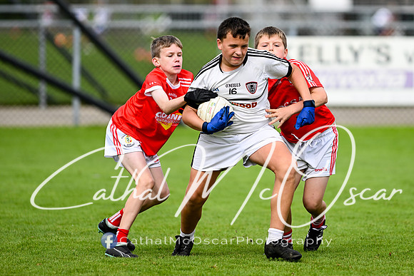 Castledawson U11.5 Tournament  (171 of 349)