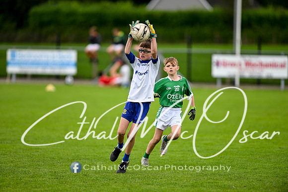 Castledawson U11.5 Tournament  (326 of 349)